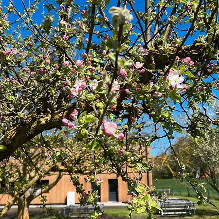 Strandnahe 1 דירה *